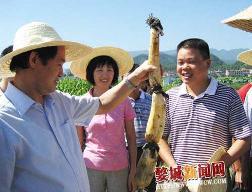 陈昆忠来婺城区检查菜篮子工程建设情况